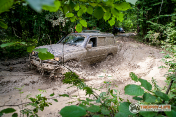 _MG_4848.jpg