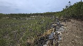 20250503_164606.jpg