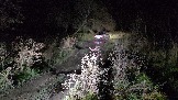 20251025_182021.jpg