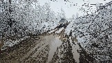20251115_113239.jpg
