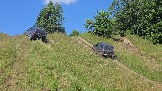 20260801_120059.jpg
