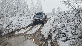20251115_113149.jpg
