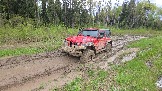 20260510_161254.jpg