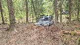 20260510_124158.jpg