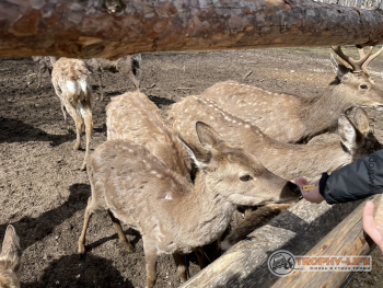 Фото Трофи-лайф 4х4 покатушкаэкспедиция Тверской Край 1-2.05.22 - 205.JPG