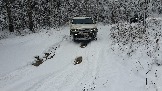 20231125_122721.jpg