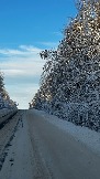 IMG_2751.JPG