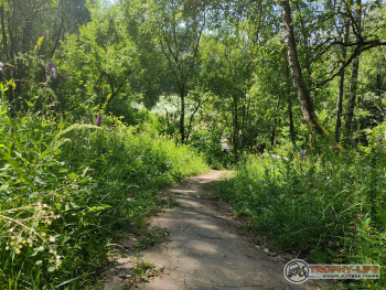 Фото Трофи-лайф 4х4 покатушка Володарский Кремль - 18.jpg