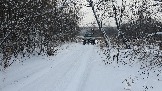 20231216_120334.jpg