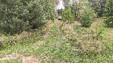 Трофи-лайф фото 4х4 покатушка Каширский зигзаг 17.08.2024 -  (20).png