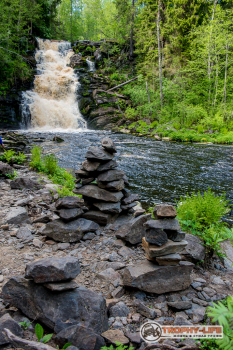 _DSC6642.jpg
