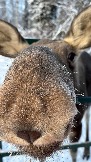 IMG_3398.JPG