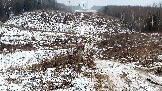 Трофи-лайф фото 4х4 покатушка Рогачевские Сокровища  08.02.2025 - (49).jpg