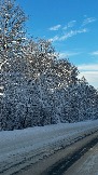 IMG_2755.JPG