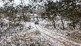 Трофи-лайф фото 4х4 покатушка Школа 4х4 16.02.2025 -  (206).jpg