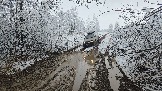 20251115_113245.jpg