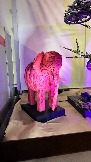IMG_1048.jpg