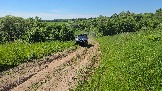 20260606_143807.jpg