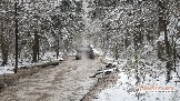 Фото Трофи-лайф 4х4 покатушка Новоистринские Просеки 28.10.23 - 343.jpg