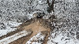 20251115_123551.jpg