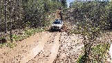 20250426_135709.jpg