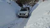 20260222_113149.jpg