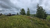 20250613_130904.jpg