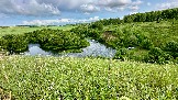 IMG_1310.jpg