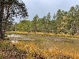 IMG_5636.JPG