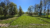 20250503_111154.jpg