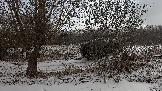 Трофи-лайф фото 4х4 покатушка Школа 4х4 16.02.2025 -  (72).jpg