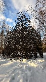 IMG_1474.jpg