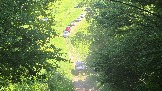 20260606_153949.jpg