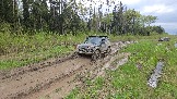 20260510_161229.jpg