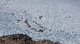 20240304_135456.jpg