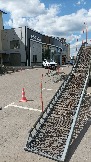 1700685258031.jpg