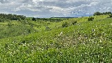 IMG_1283.jpg
