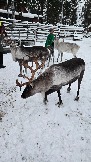 20251129_114235.jpg