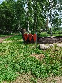 IMG_20260613_134903_690.jpg
