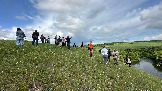 IMG_1293.jpg