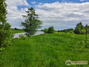 Фото Трофи-лайф 4х4 покатушка Кудыкина Гора 05.06.21 - 134.jpg