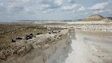 Трофи-лайф Экспедиция Казахстан Май 2024 (52).jpg