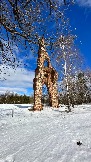 IMG_1336.jpg