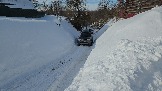 20260222_113135.jpg