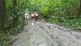 20240803_192552.jpg