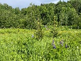 IMG_8767.JPG