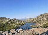 IMG_9313.jpeg