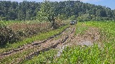 20260801_135312.jpg