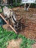 IMG_20260613_135153_707.jpg
