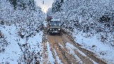 20251115_122746.jpg